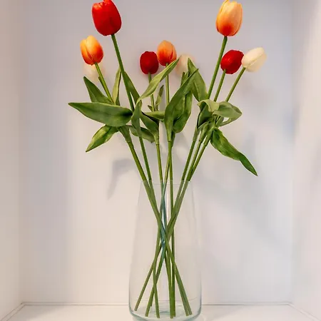 Principe Del Pardo * كاتانيا